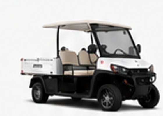 Commercial Golf Carts